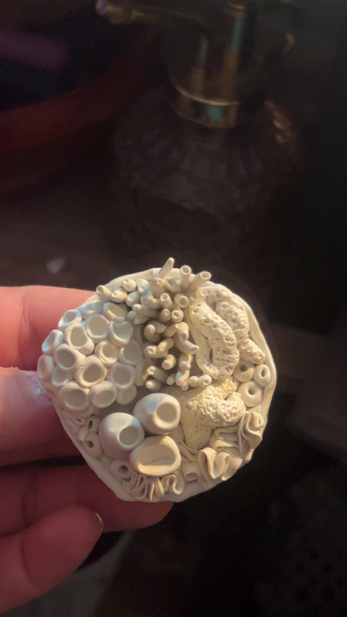 Miniature Coral Inspired Sea Scape