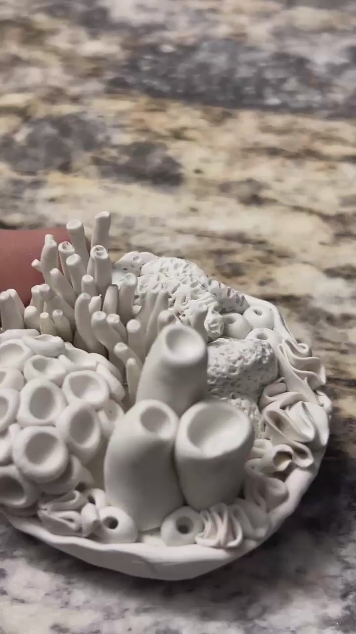 Miniature Coral Inspired Sea Scape